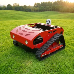 gasoline lawn mower